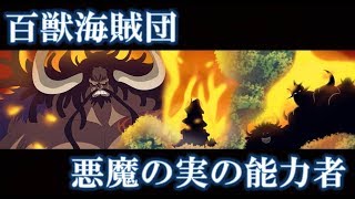 ワンピース　最強のゾオン系悪魔の実集団　百獣海賊団　悪魔の実の能力者　まとめ　※一部｢パラミシア｣含む。