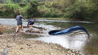 Primitive life: arrange rocks to trap fish