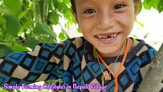 Unseen Hardworking Village Life of Rural Nepal | Simple Farming Lifestyles in Nepali Village