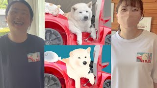 最高に可愛い柴犬あいちゃんオリジナルグッズがついに完成しました！