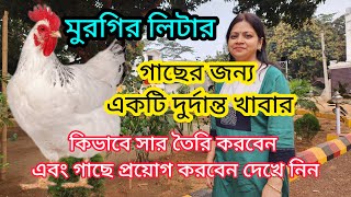 মুরগির লিটার পোল্ট্রি ফার্ম থেকে এনে কিভাবে গাছে ব্যবহার করা যাবে।Poultry Litter Fertilizer |