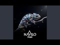 Chameleon (DnB Version)
