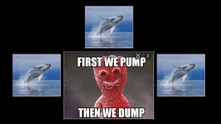 VEVE Whale Pump \u0026 Dump SCAM explained (Avoid these 3 mistakes)