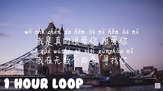 1 HOUR LOOP/一小时循环/한시간반복【选择性回避-傲七爷】XUAN ZE XING HUI BI-AO QI YE /Pinyin Lyrics, 拼音歌词, 병음가사/No AD, 无广告