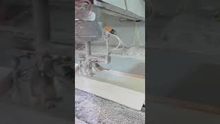 CEFLA Painting line