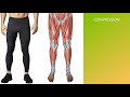 do compression garments help recovery research recommendations 📜