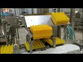 automatic egg loader system for large capacity