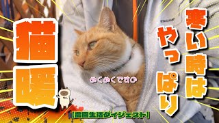 【12/2】寒い朝は猫暖に限ります🐈eco!!【農園生活ダイジェスト】