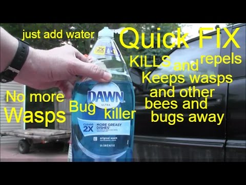 how to keep bees away how to keep bees away