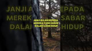 Mengapa sabar itu berharga? Inilah janji Allah Swt #feedshorts #islam #short