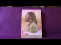 Moonchild Tarot Fulll Flip Through