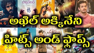 Akhil Akkineni Hits And Flops all Telugu Movies list Telugu Entertainment9