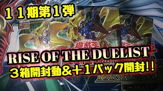 【遊戯王 開封動画】『ライズ・オブ・ザ・デュエリスト』３箱一気に開封！！　譲ってもらった『+1パック』オマケGETもED後に、、、