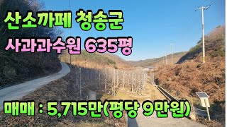 0919 산소까페 청송군 현서면 접근성 좋은 사과밭 소개합니다