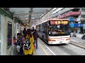 108 12 20媲美brt班距的臺北市公車307線