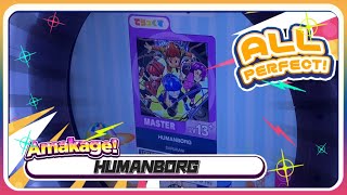 【maimaiでらっくす】HUMANBORG でらっくす譜面 MASTER ALL PERFECT 【直撮り】