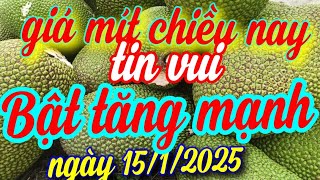 giá mít chiều nay ngày 15/1/2025