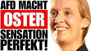 Gestern Abend Erschienen❗️