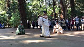 2019　鹿島神宮　小笠原流蟇目の儀