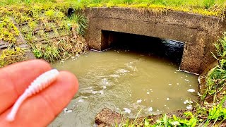 小さな用水路のトンネルにワーム投げてみたら。。