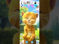 Cute LoL Funny Kitten Kitty Ginger