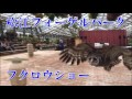 【行ってきた】松江フォーゲルパーク ペンギン散歩とフクロウショー