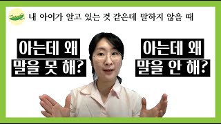 아는데 왜 말을 못하니?! l 언어행동분석 l ABAㅣ언어치료