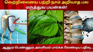 வெற்றிலை தினமும் சாப்பிட்டால் நடக்கும் அதிசயம்! | Benefits of Betel leaves in Tamil | Health tips