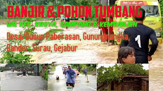 Banjir Kroya, Sampang & Kemranjen Banyumas,  Paberasan Gunungnangka Bander Surau Gejabur. Pohon Tumb