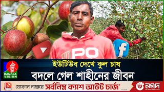 ইউটিউব দেখে কুল চাষ, বদলে গেল শাহীনের জীবন | Kulboroi Cultivation | Shaheen's Life Change