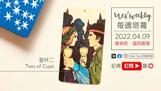 220409｜粵/國語｜每週塔羅：聖杯二