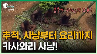 1m 창 던져서 '거대한 새' 사냥하는 원주민