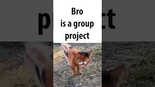 bro is a group project