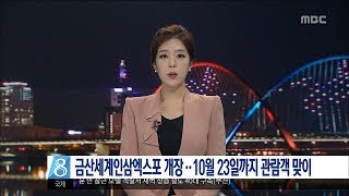 [대전MBC뉴스]2017 금산세계인삼엑스포 본격 개장