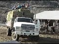 oak creek elk feeding station 1994