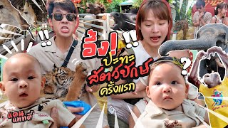 พาลูกๆปะทะสัตว์ยักษ์ครั้งแรกในชีวิต!! | แดนแพทตี้ SS2 | EP.66 |