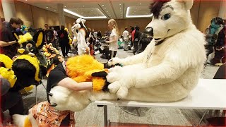 I Can't Give Anything But Love, Furry *** Paws \u0026 Cuddle at Eurofurence 2024