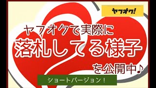 ヤフオク落札手順ショート版。さっさと流れを見たいあなたへ。