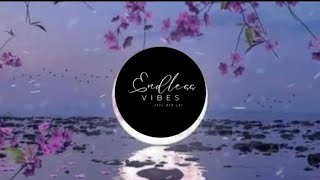 Yaara Teri Yaari Ko [Remix] - Madsoul