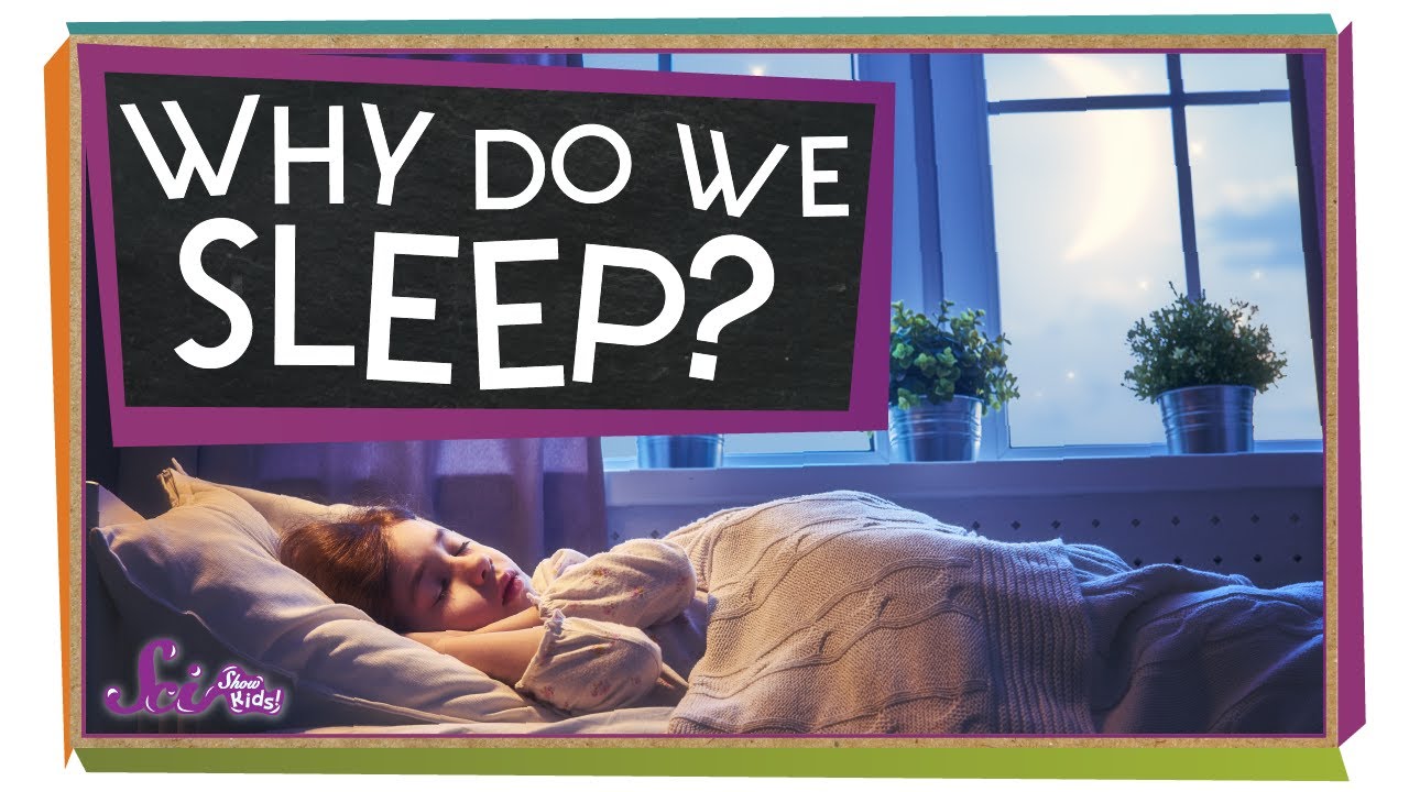 Why Do We Need Sleep? - YouTube