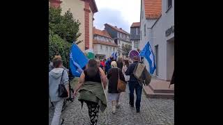 ⬛️⬜️🟥  Germany: Oberursel  / Taunus 🇩🇪 30.08.2023 (Freedom Rally)