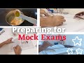 Week before Mock Exams Class 10 CBSE | exam preparation week✨