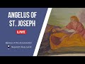 Angelus of St Joseph in the Crypt of the Holy Family | August 14, 2024