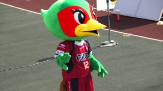 2012 J2 第5節 ファジアーノ岡山 試合後のファジ丸独壇場