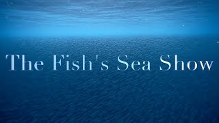 ４k The Fish's Sea Show【nature aquarium】