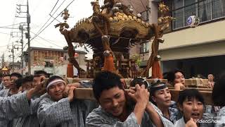 令和元年　大沢八坂神社祭礼　四ヶ町神輿渡御② #八坂神社 #大沢祭り #神輿 #北越谷