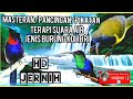 Masteran terapi air suara burung jenis kolibri || pancingan || pikatan