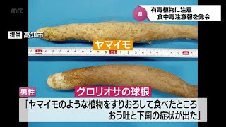 有毒な植物に注意を　宮崎県は今年初の食中毒注意報発令