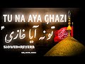 Tu Na Aya Ghazi Slowed Reverb | Mir Hasan Mir Nohay | Tu Aya Ghazi Without Noha