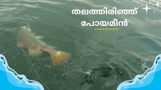 തലത്തിരിഞ് പോയവലിയ  കാളാഞ്ചിയേ കൈക്ക് പിടിച്ചുകയറ്റി ./ CATCHING BIG ASIAN SEA BASS USING HAND